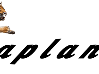 kaplanlar-ev-ic-dizayn