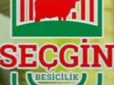 secgin-besicilik-istanbul-catalca-kurbanlik-satis-ve-kesim-yeri