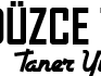 duzce-taksi-ulasim-hizmetleri